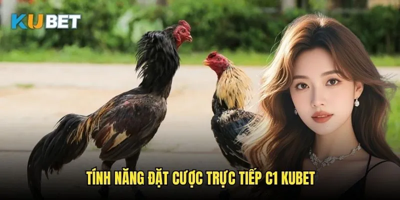 Đá gà trực tiếp C1 Kubet - Giải đấu chất lượng hàng đầu 3 Tính năng đặt cược trực tiếp C1 Kubet