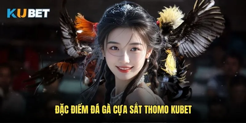Đá gà cựa sắt Thomo Kubet - Trận chiến khốc liệt 2 Đặc điểm đá gà cựa sắt Thomo Kubet