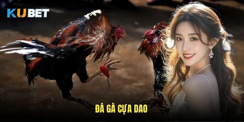Đá gà cựa dao Kubet - Phong cách đấu truyền thống 1 Đá gà cựa dao