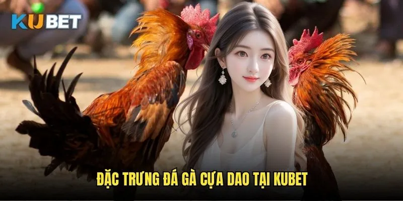 Đá gà cựa dao Kubet - Phong cách đấu truyền thống 2 Đặc trưng đá gà cựa dao tại Kubet