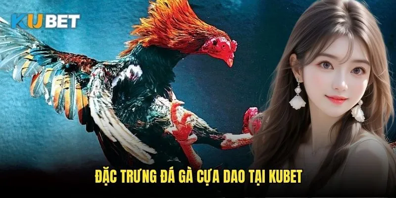 Đá gà cựa dao Kubet - Phong cách đấu truyền thống 3 Chọn gà cựa dao chiến thắng Kubet