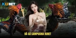 Đá gà Campuchia Kubet