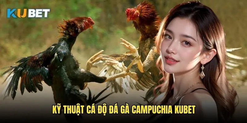 Đá gà Campuchia Kubet - Nét văn hóa châu Á 3 Kỹ thuật cá độ đá gà Campuchia Kubet