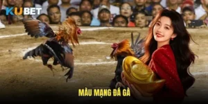 Màu mạng đá gà